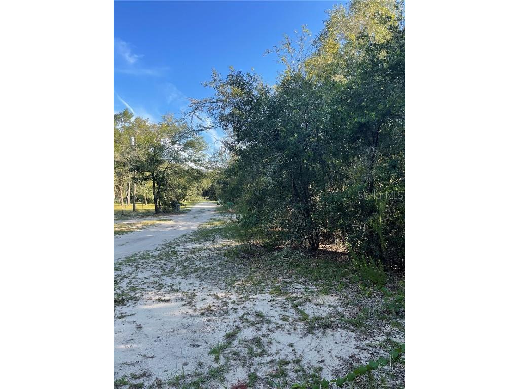 TBD Wynetta Dr Interlachen FL 32148 GC515972 image1