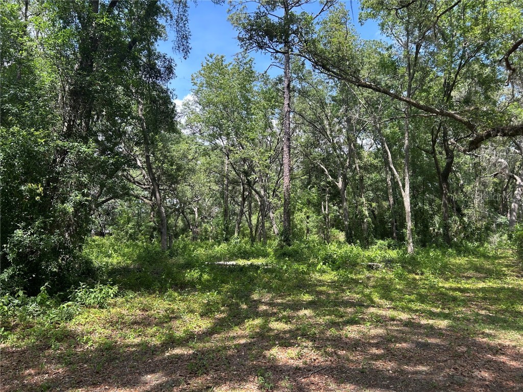 TBD (lot #25) SE 192nd Court Morriston FL 32668 OM702777 image1