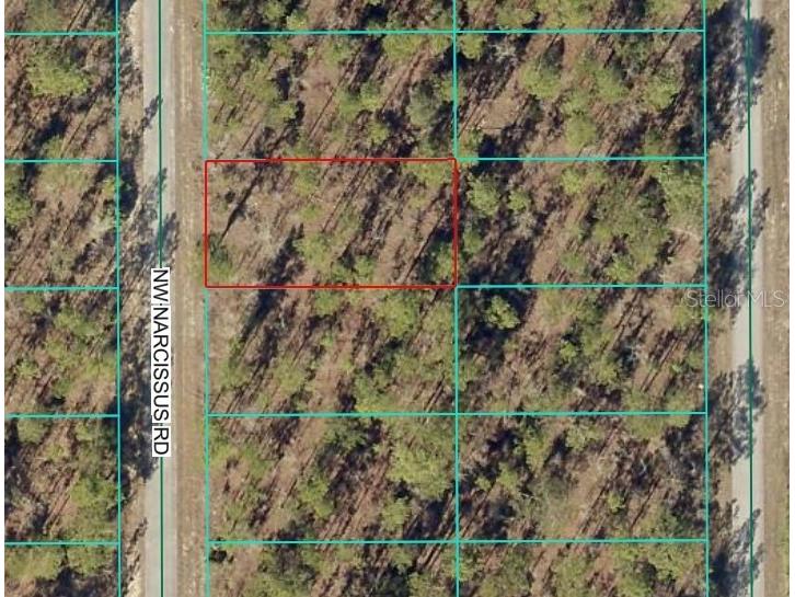TBD1 NW Narcissus Road Dunnellon FL 34431 OM714946 image1