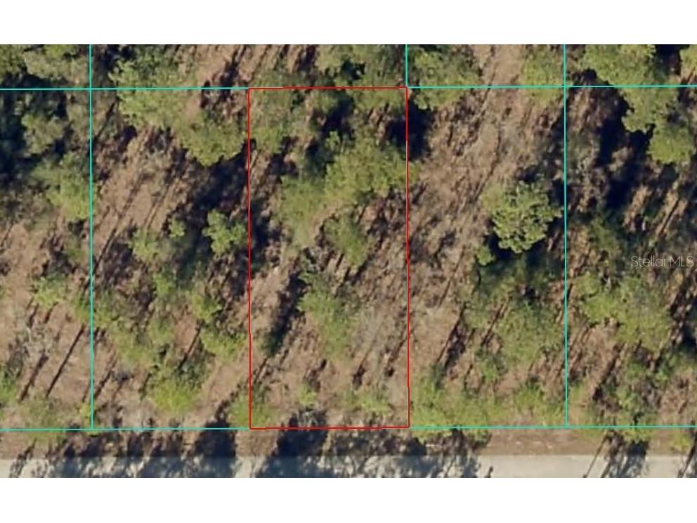 TBD1 NW Tamarind Lane Dunnellon FL 34431 OM714960 image1