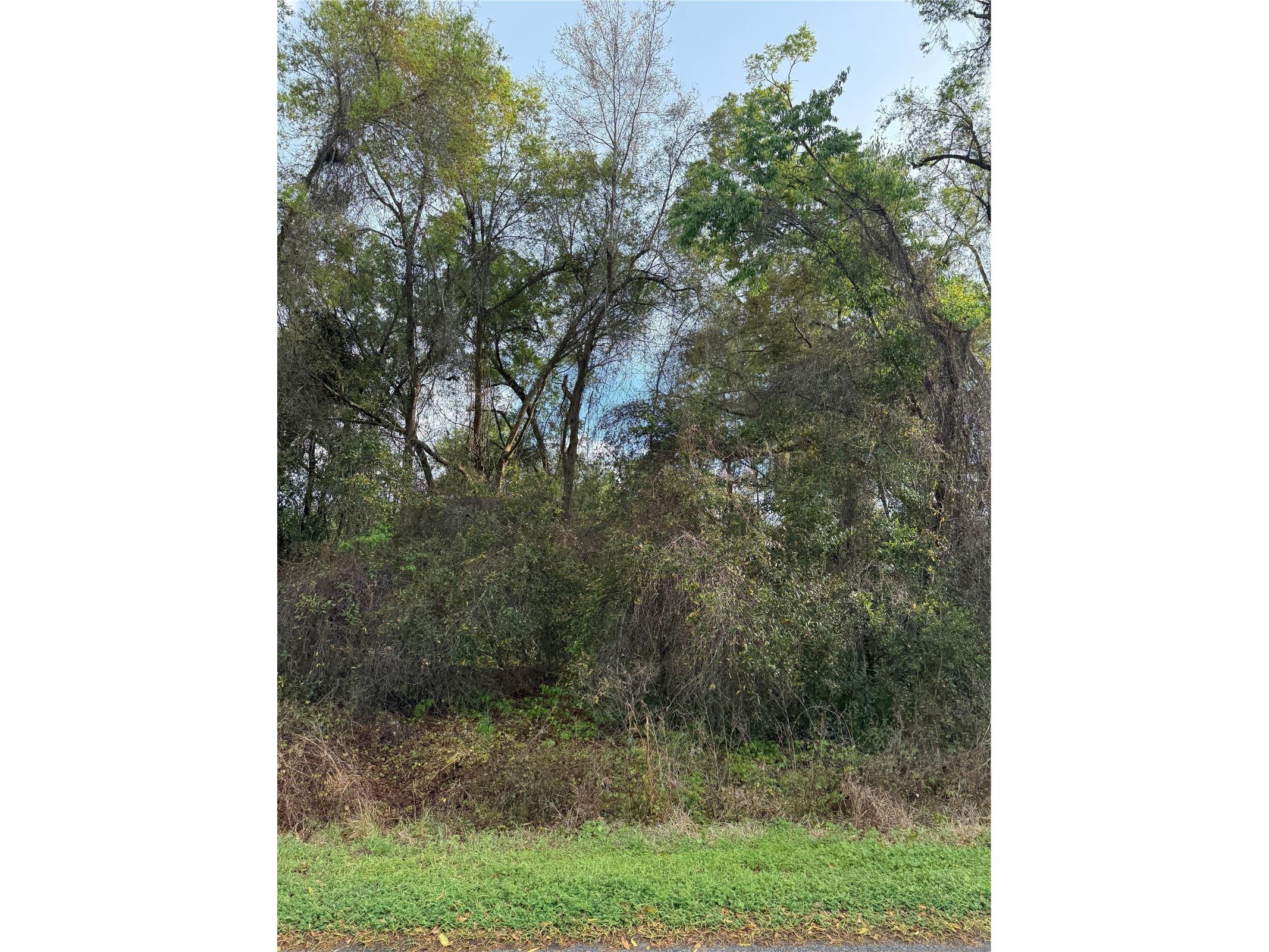 TBT SE 48th Court Summerfield FL 34491 OM717725 image2
