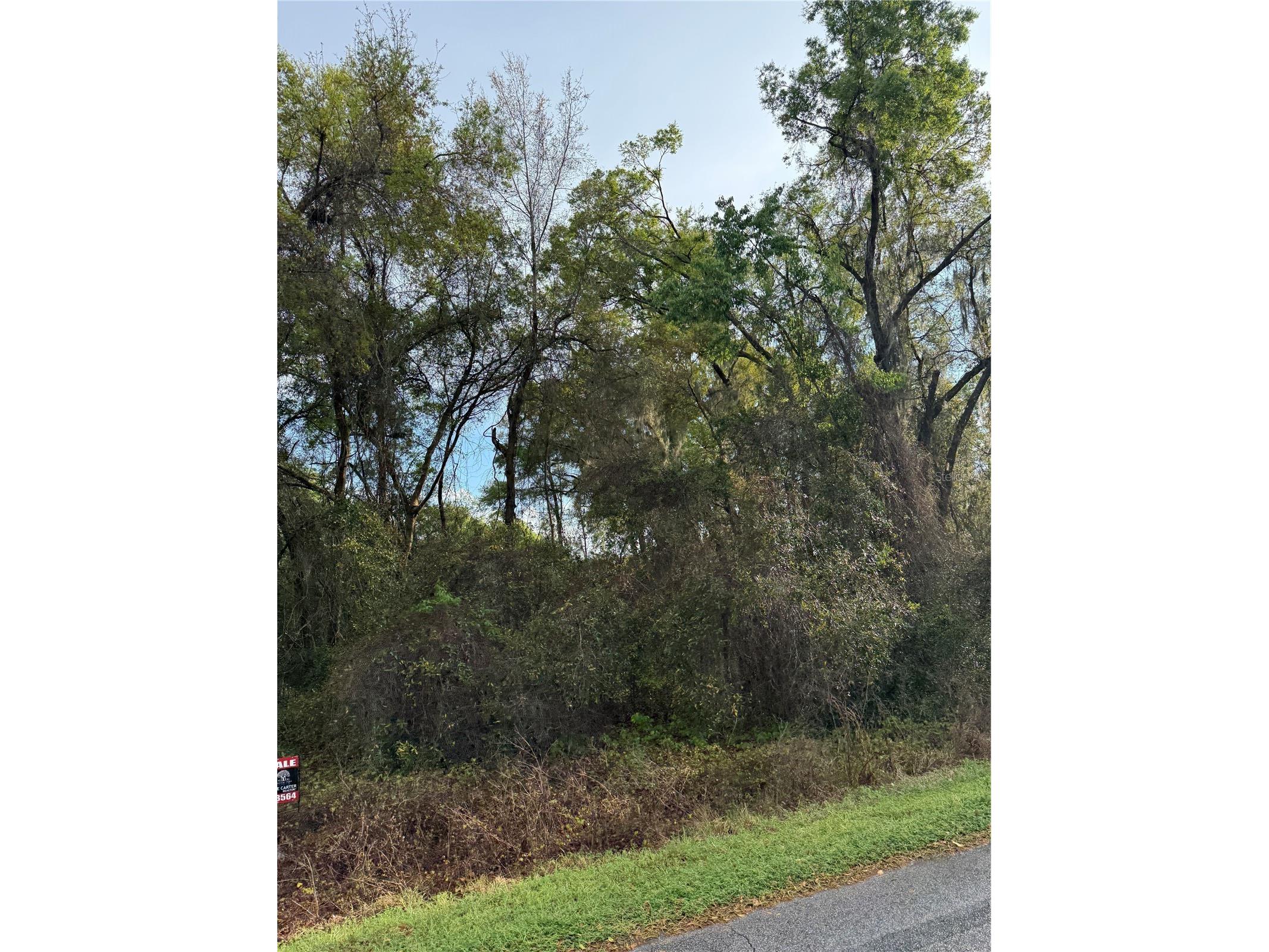 TBT SE 48th Court Summerfield FL 34491 OM717725 image3