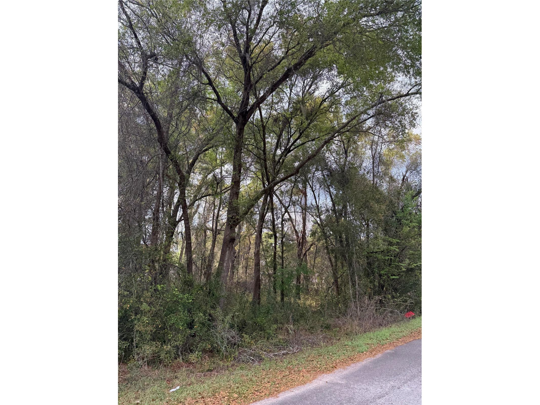TBT SE 48th Court Summerfield FL 34491 OM717725 image4
