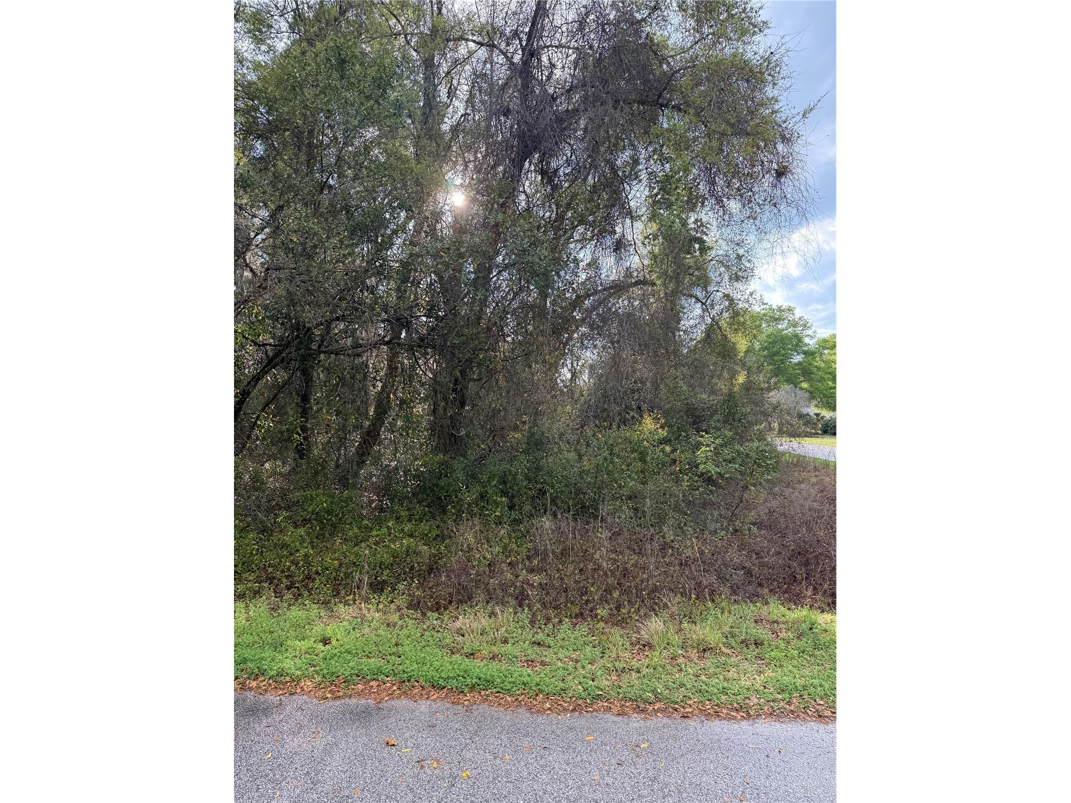 TBT SE 48th Court Summerfield FL 34491 OM717725 image5