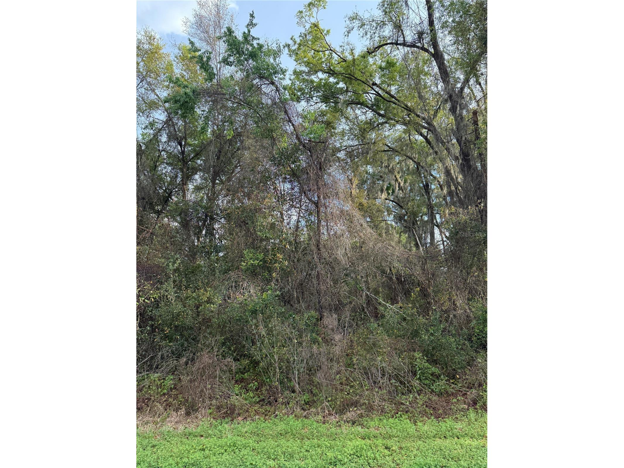 TBT SE 48th Court Summerfield FL 34491 OM717725 image7