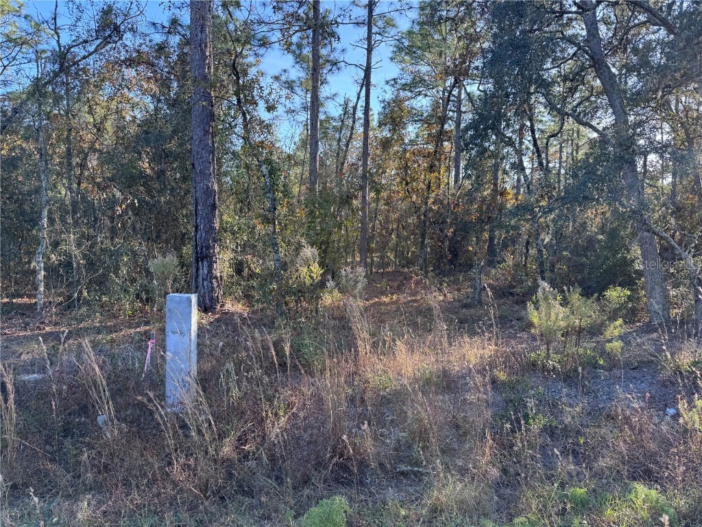 TBT Sw 91st Ln Dunnellon FL 34432 TB8323039 image1