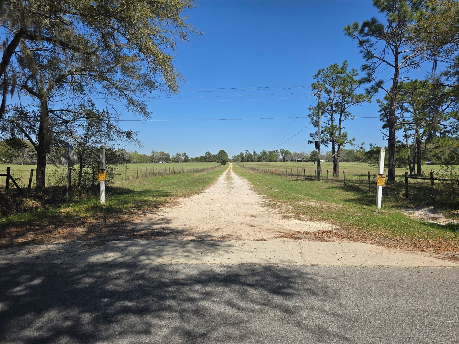 TDB (LOT 1) 55th Place Mc Alpin FL 32062 A4687078 image1