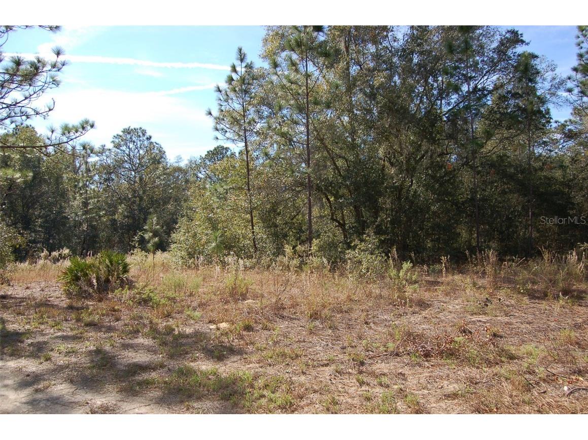 TDB SW 29 Place Ocala FL 34481 OM701012 image1