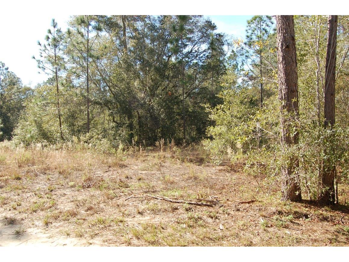 TDB SW 29 Place Ocala FL 34481 OM701012 image2