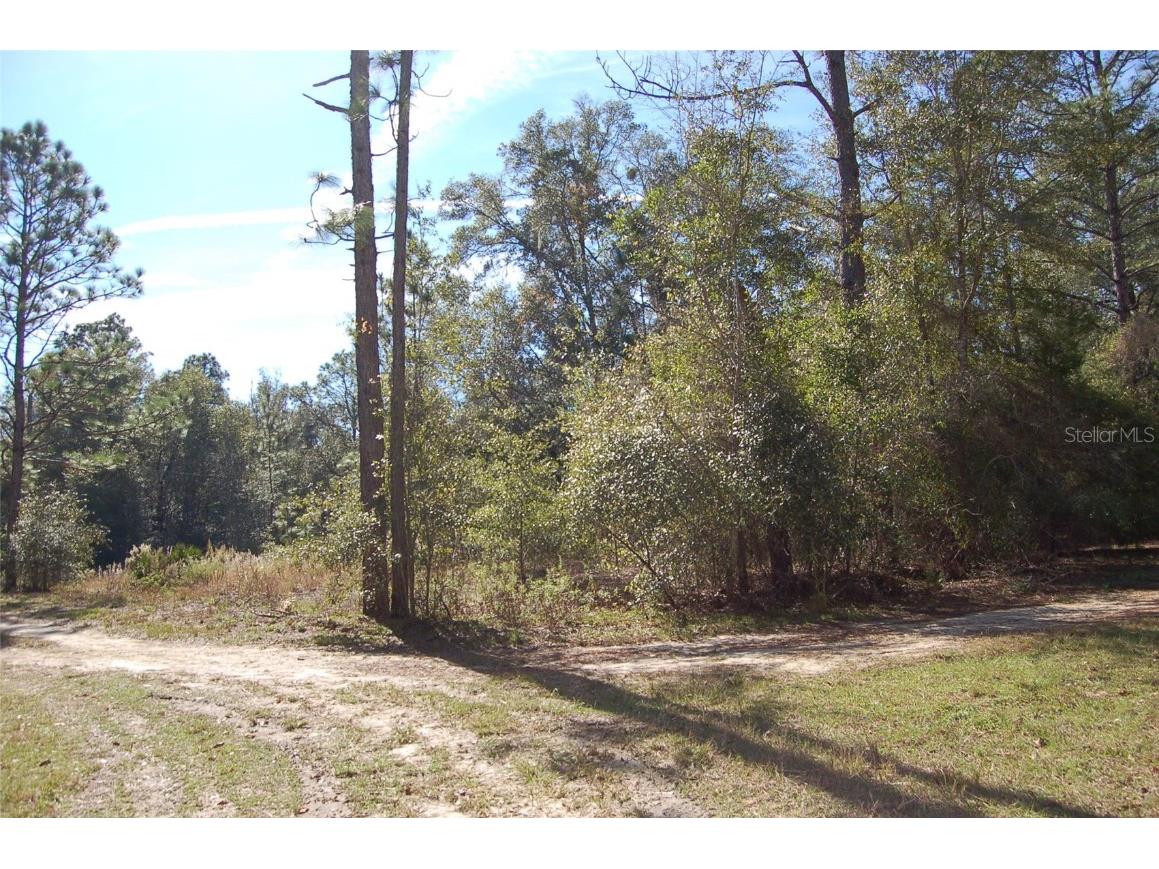 TDB SW 29 Place Ocala FL 34481 OM701012 image3