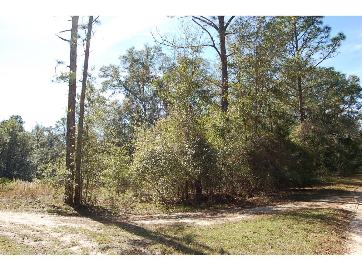 TDB SW 29 Place Ocala FL 34481 OM701012 image4