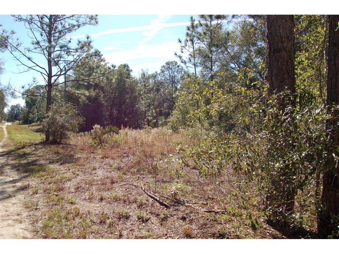 TDB SW 29 Place Ocala FL 34481 OM701012 image5