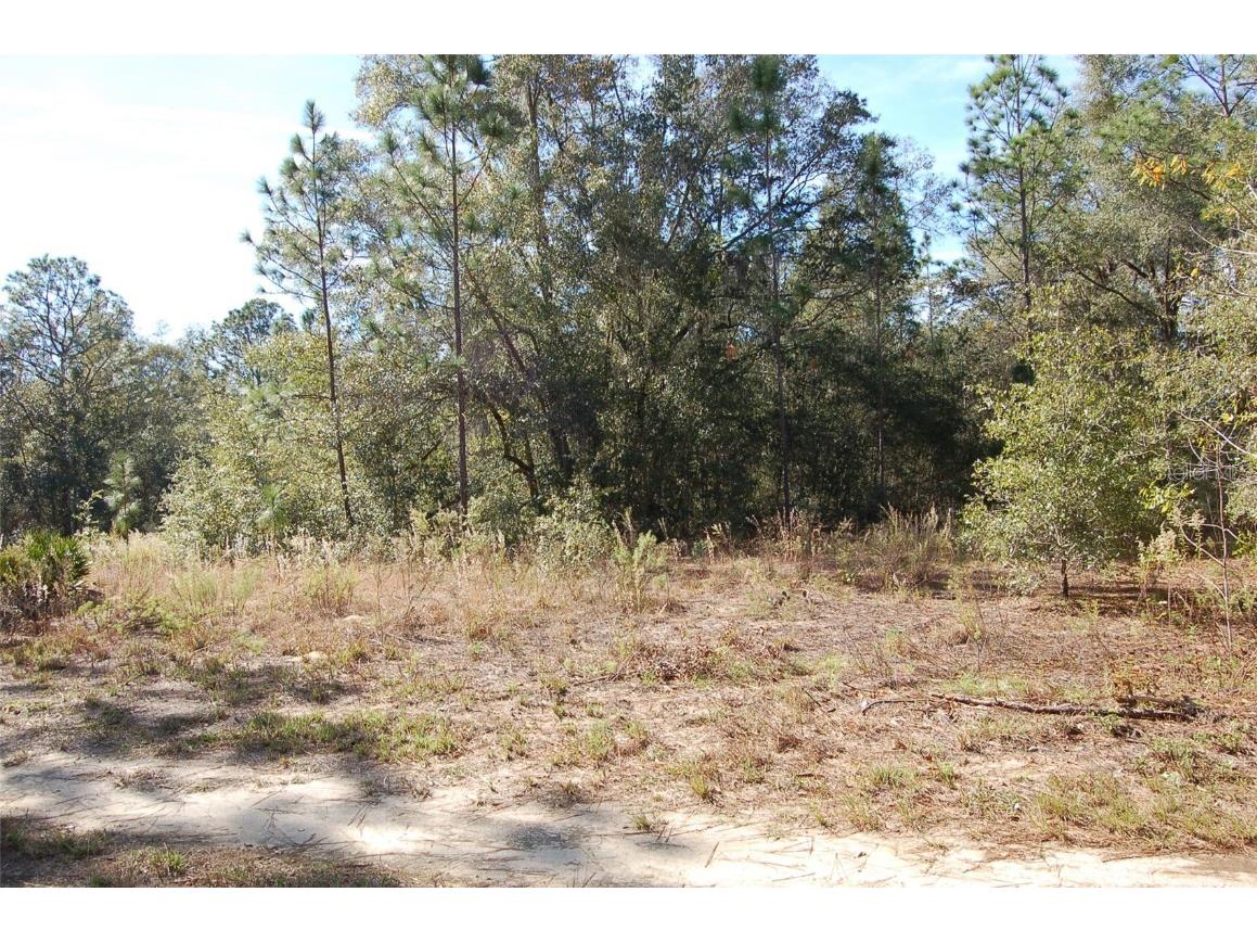 TDB SW 29 Place Ocala FL 34481 OM701012 image6