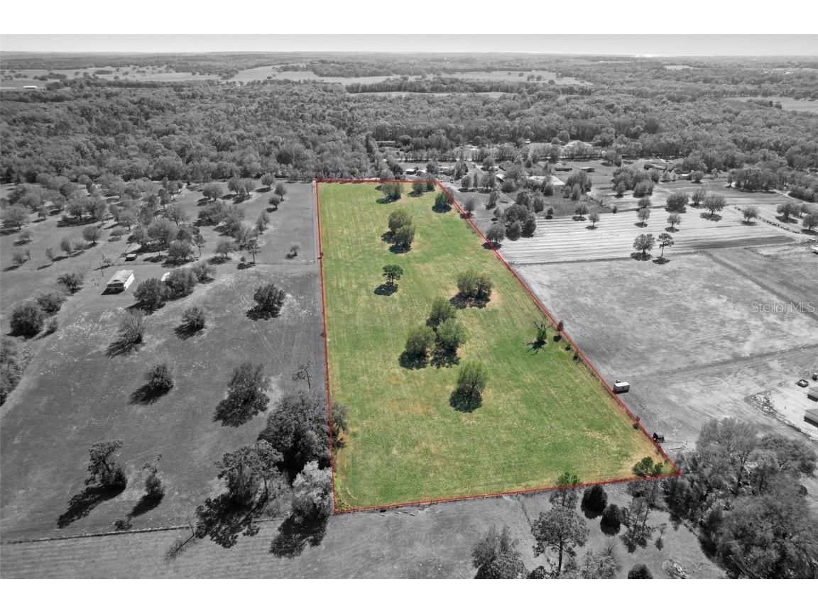 TR7 Old Trilby Road Brooksville FL 34602 T3358091 image1