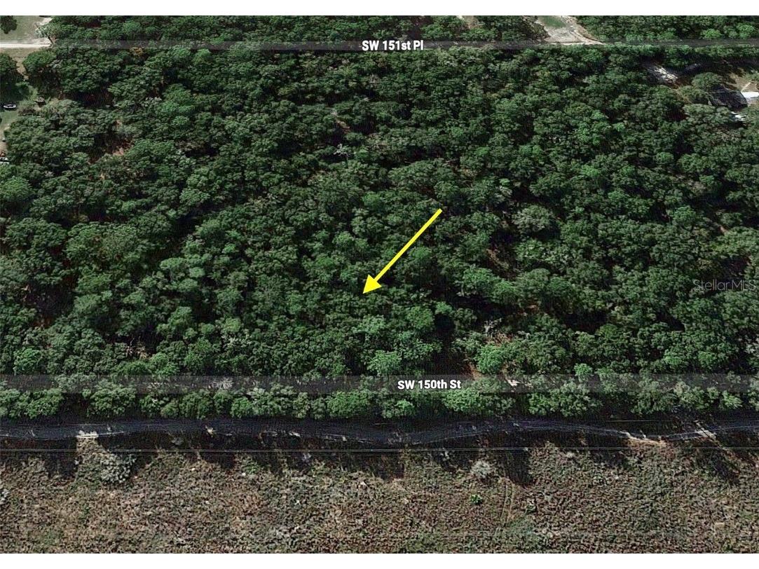 TRACT 29 SW 150th Street Dunnellon FL 34432 G5095436 image6