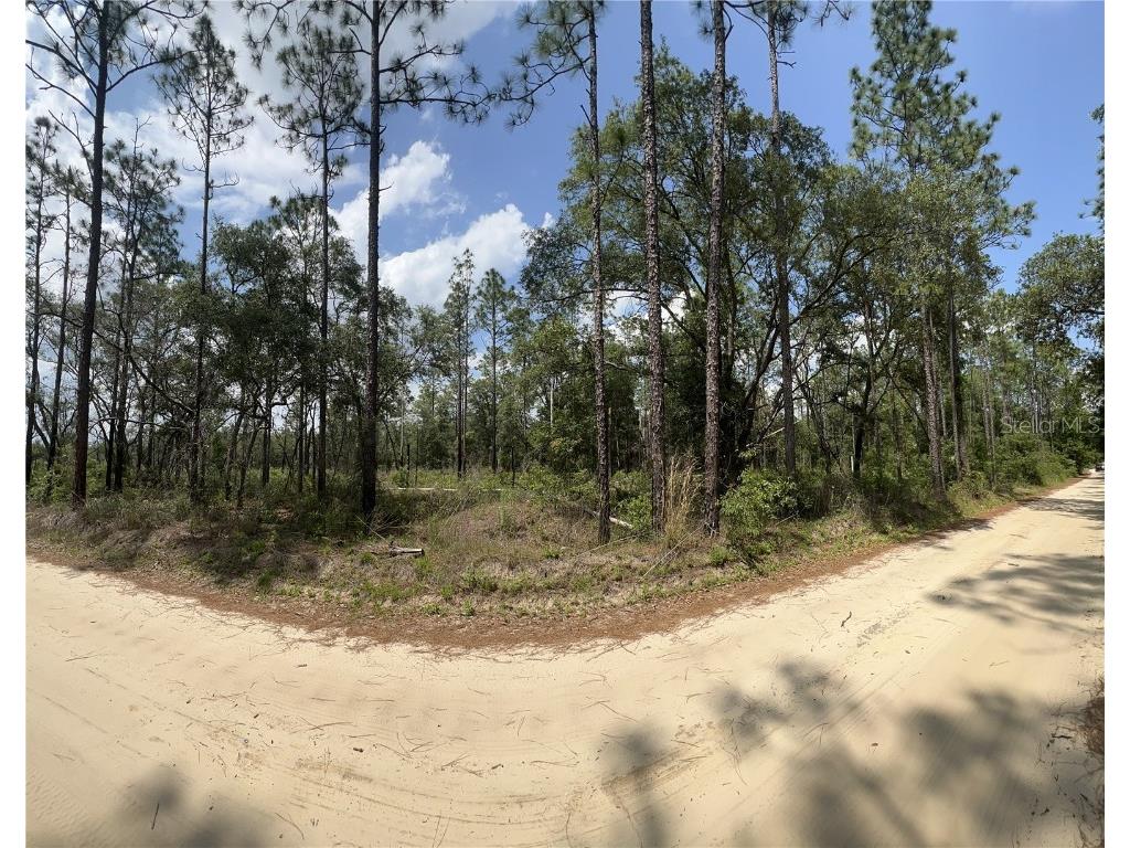 Tbd NE 72nd Place Bronson FL 32621 GC513404 image1