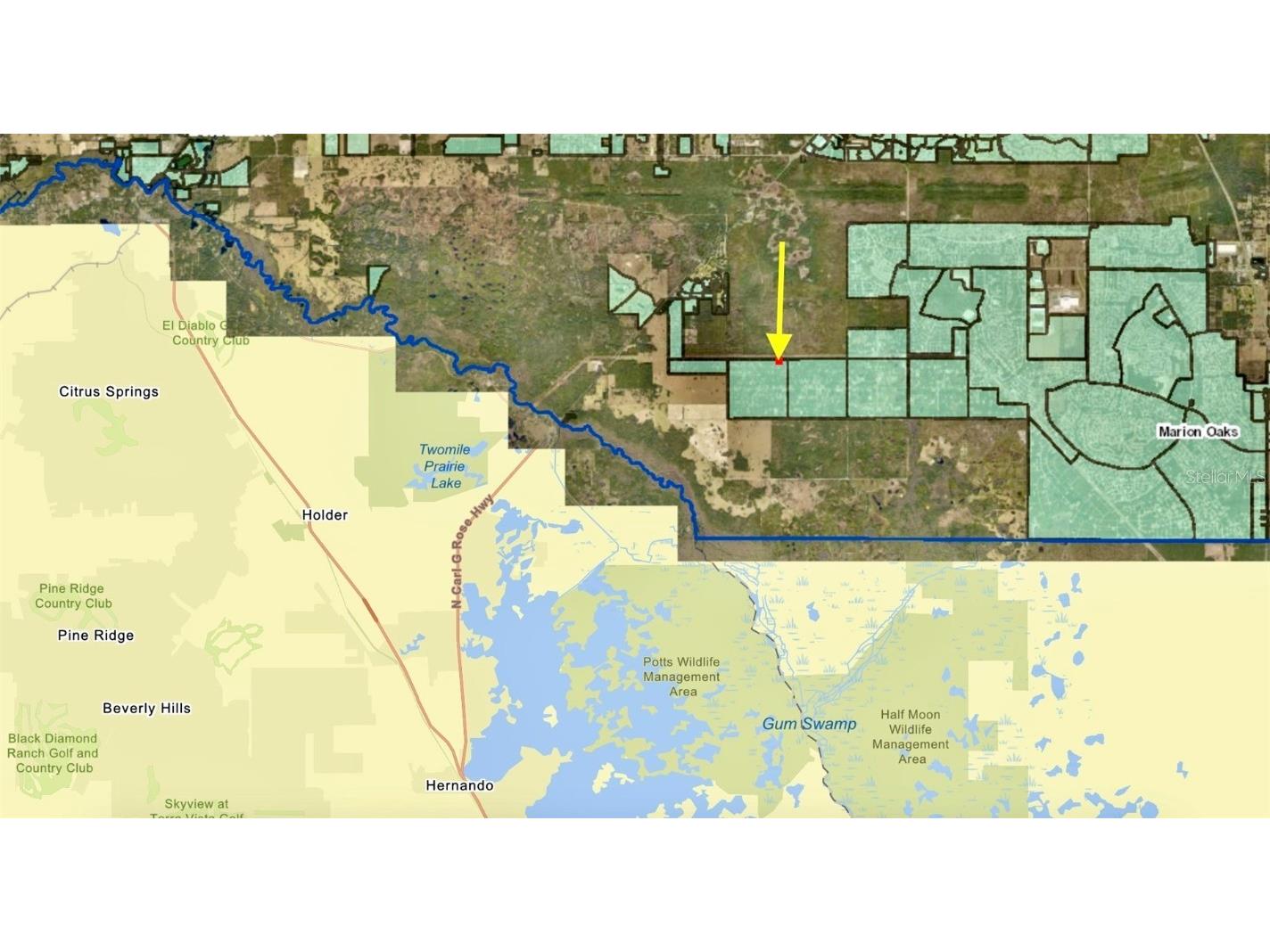 Track 28 SW 150th Street Dunnellon FL 34432 G5095484 image7