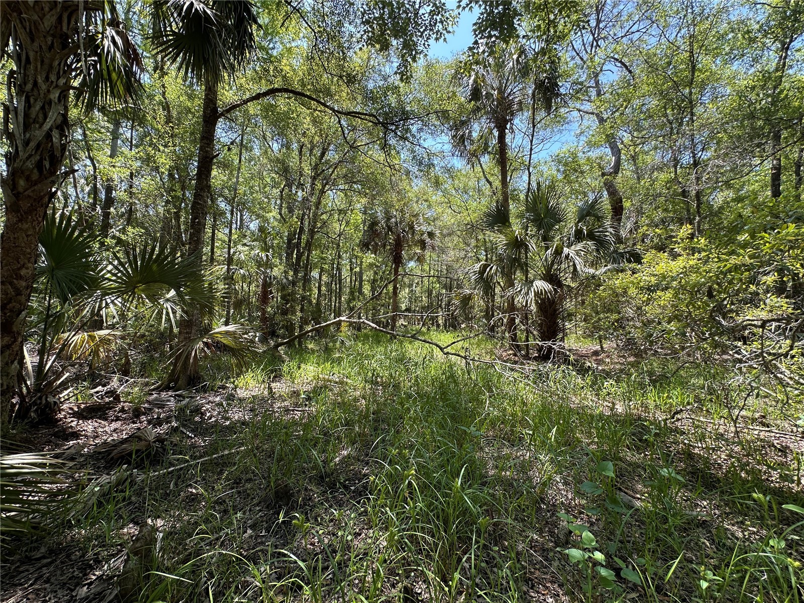 Tract 100 SW Cr-347 Chiefland FL 32644 GC539832 image11