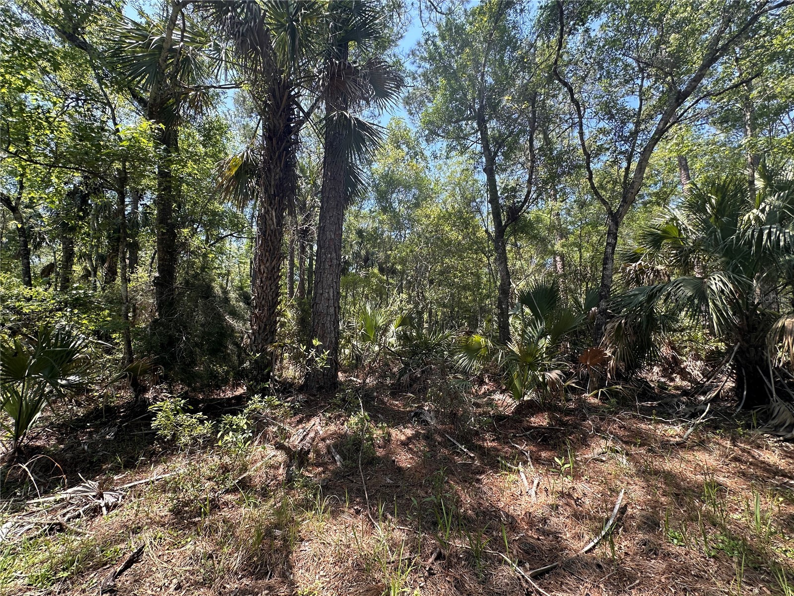 Tract 100 SW Cr-347 Chiefland FL 32644 GC539832 image21