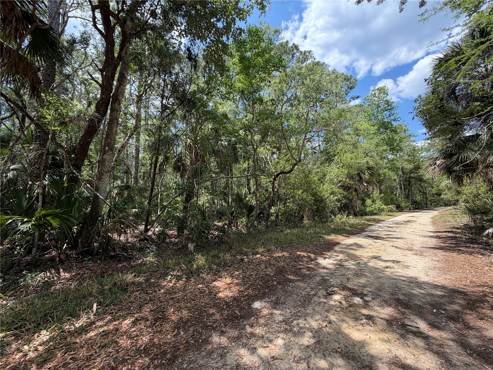 Tract 102 SW Cr-347 Chiefland FL 32644 GC539834 image10