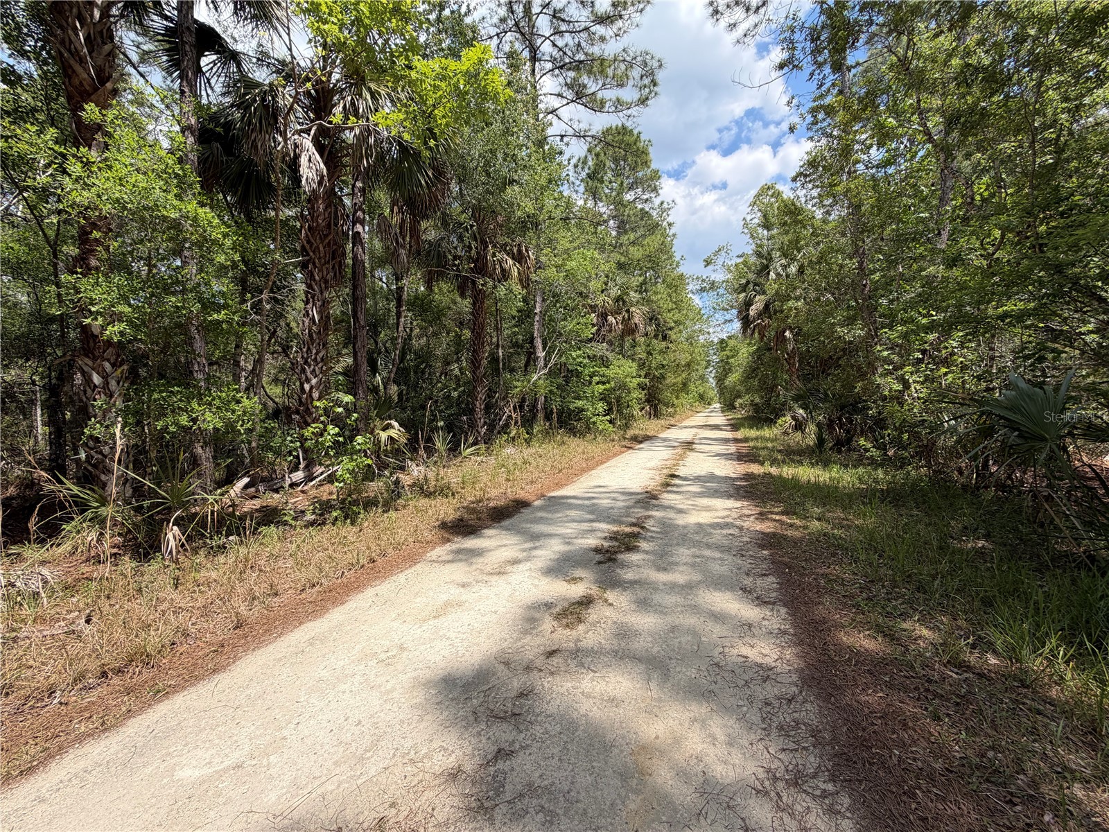 Tract 102 SW Cr-347 Chiefland FL 32644 GC539834 image9