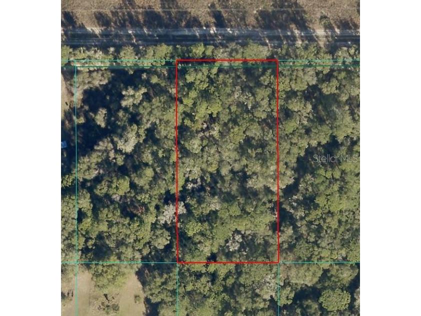 Tract 15 SW 150th Street Dunnellon FL 34433 OM718841 image3