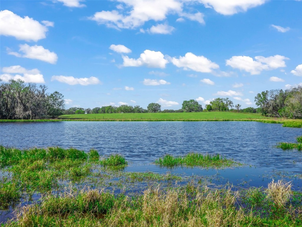 Tract #2 NE 19th Way Wildwood FL 34785 G5064750 image1