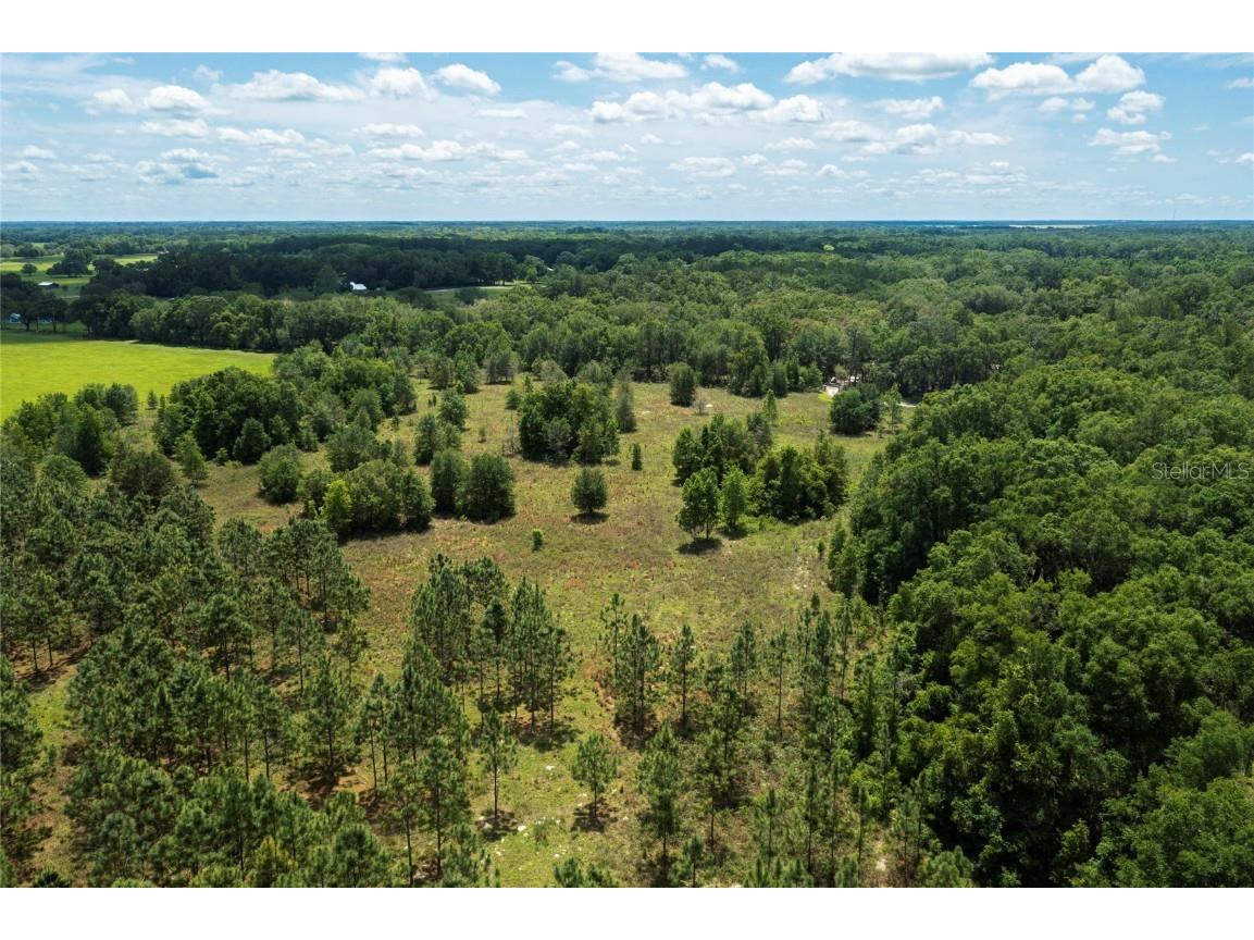 Tract 28 NE 155th Avenue Williston FL 32696 OM636481 image1