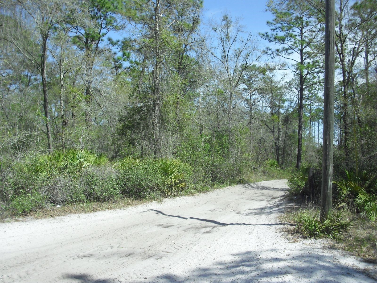 Tract 418 SW 158th Lane Dunnellon FL 34432 OM721219 image1