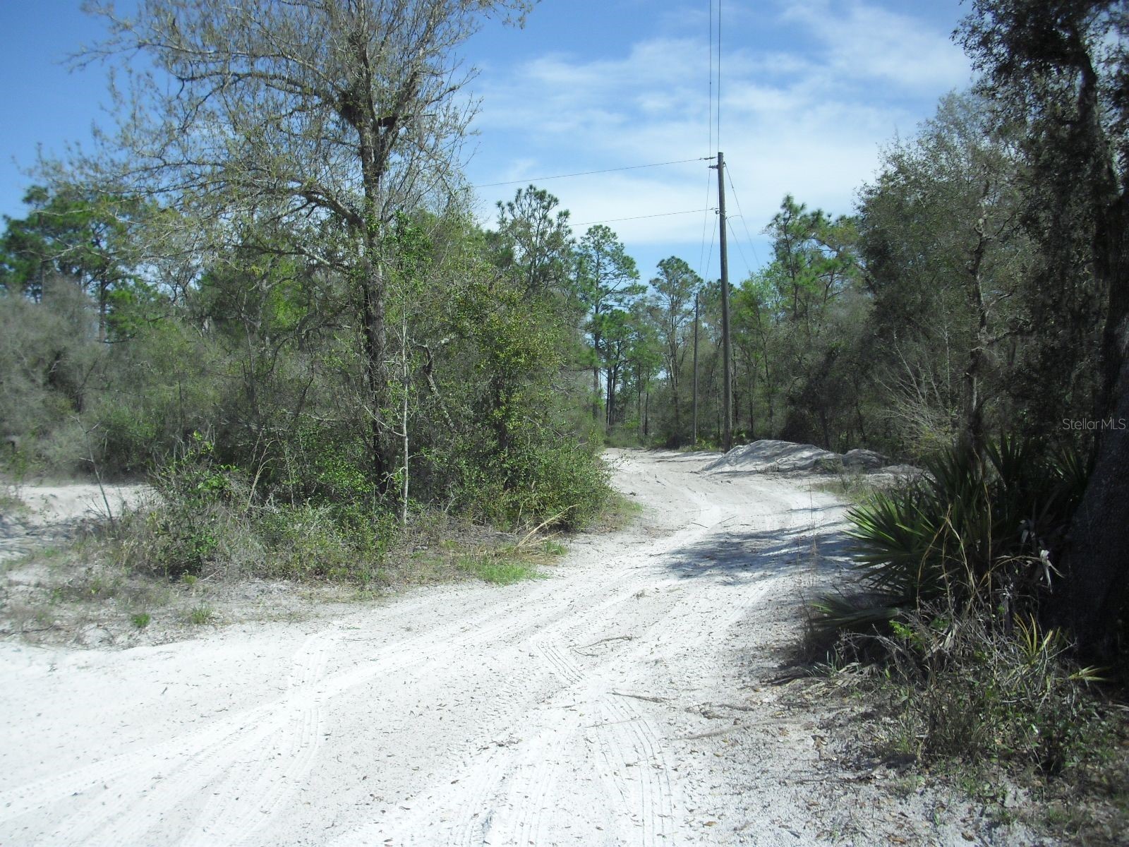 Tract 418 SW 158th Lane Dunnellon FL 34432 OM721219 image13