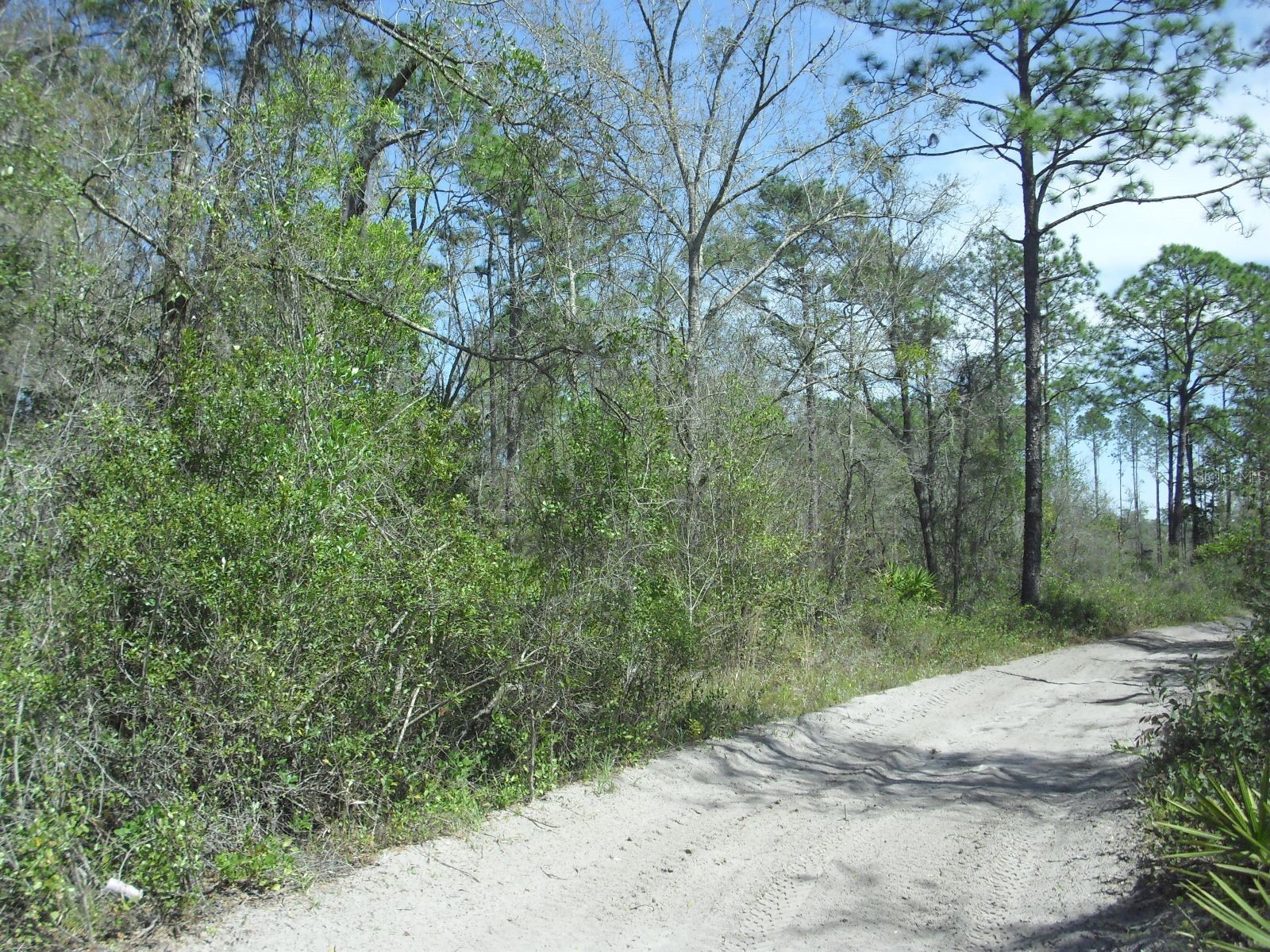 Tract 418 SW 158th Lane Dunnellon FL 34432 OM721219 image17