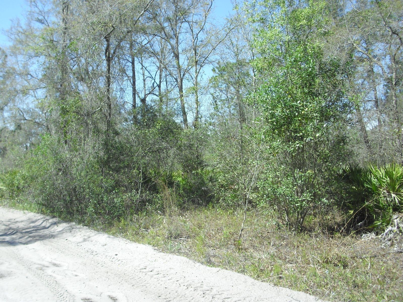 Tract 418 SW 158th Lane Dunnellon FL 34432 OM721219 image3