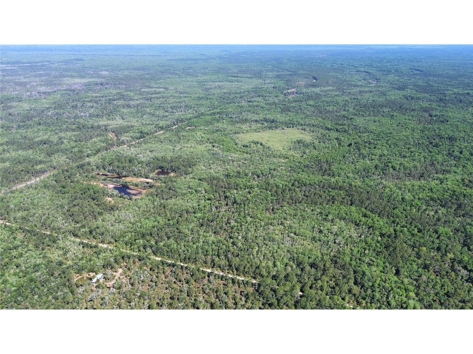 Tract 99 SW Cr-347 Chiefland FL 32644 GC539830 image12