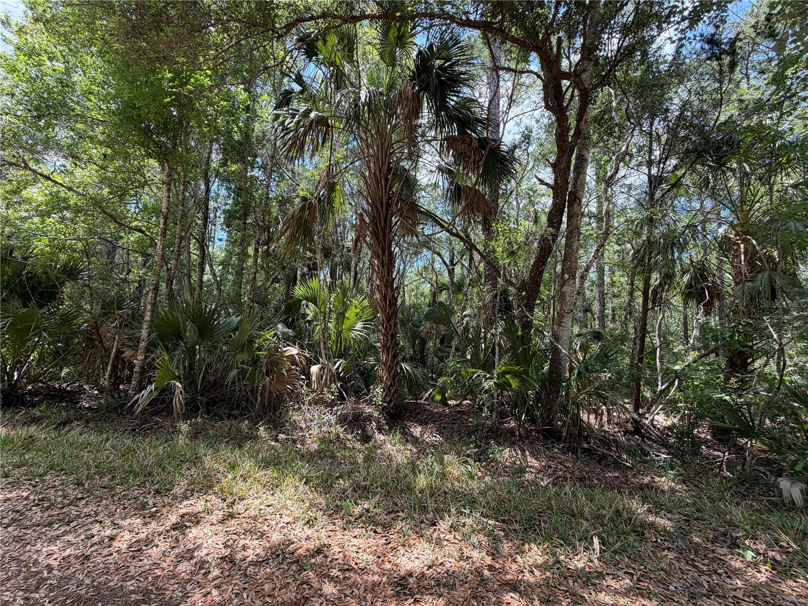 Tract 99 SW Cr-347 Chiefland FL 32644 GC539830 image20