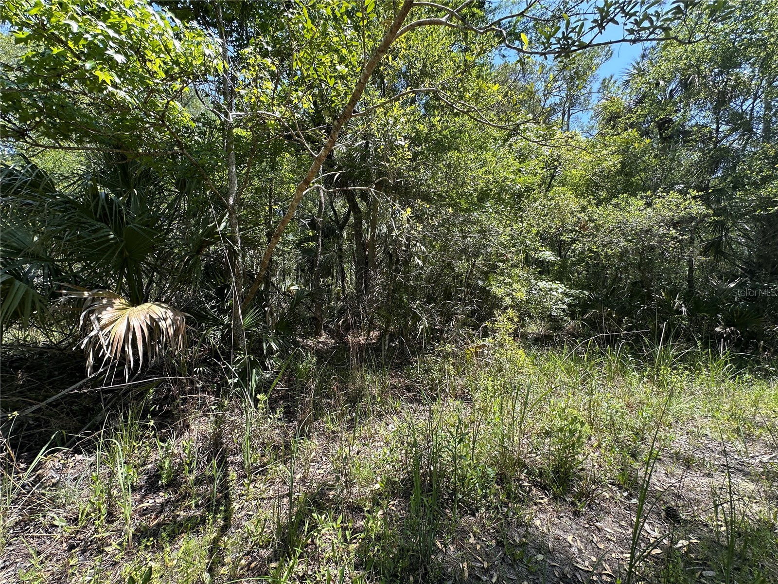 Tract 99 SW Cr-347 Chiefland FL 32644 GC539830 image22