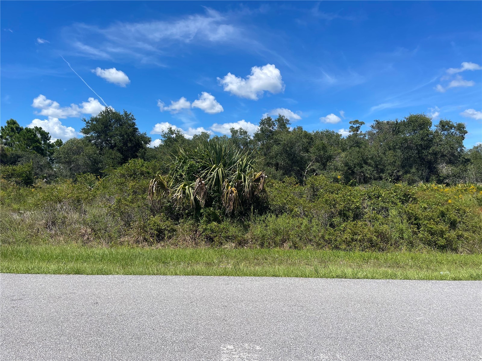 Triple Lot Titus Terrace Punta Gorda FL 33983 A4603064 image12