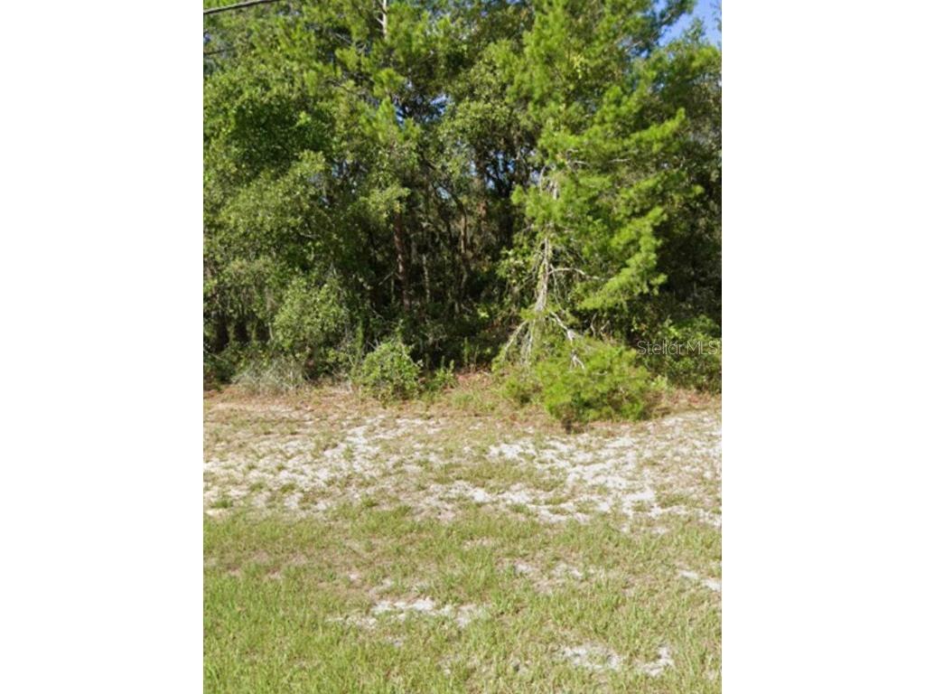 UNIT 5 Marion Oaks #BLK 855 Ocala FL 34473 T3465822 image1