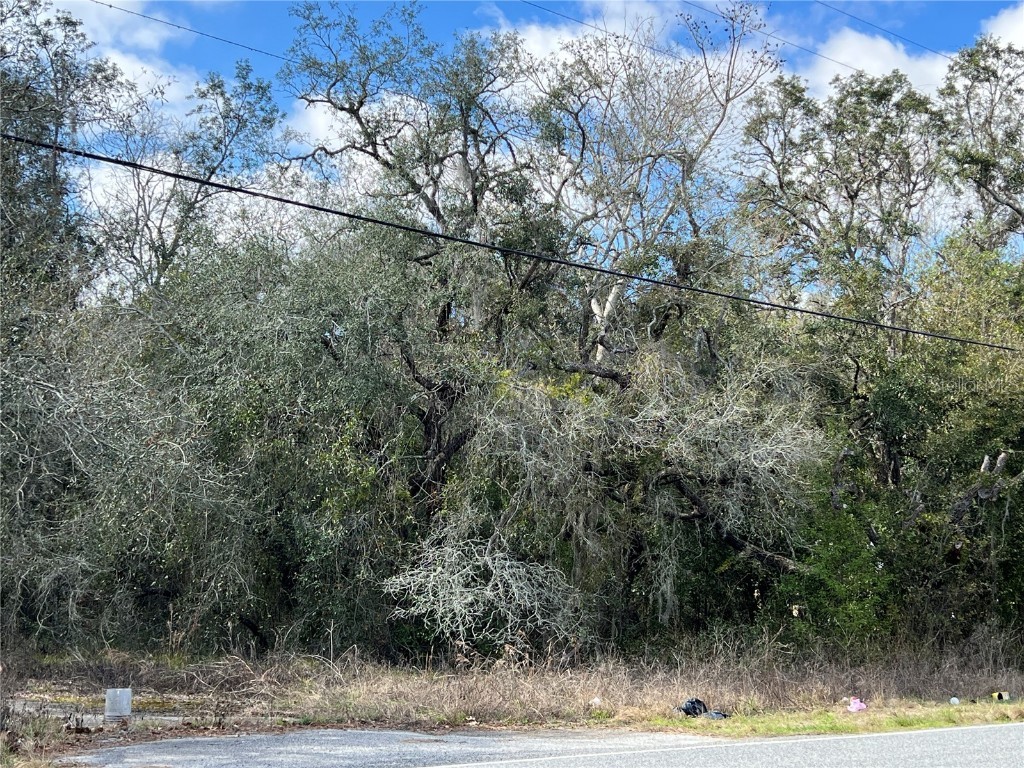UNKNOWN Hays Road Hudson FL 34669 TB8354401 image2