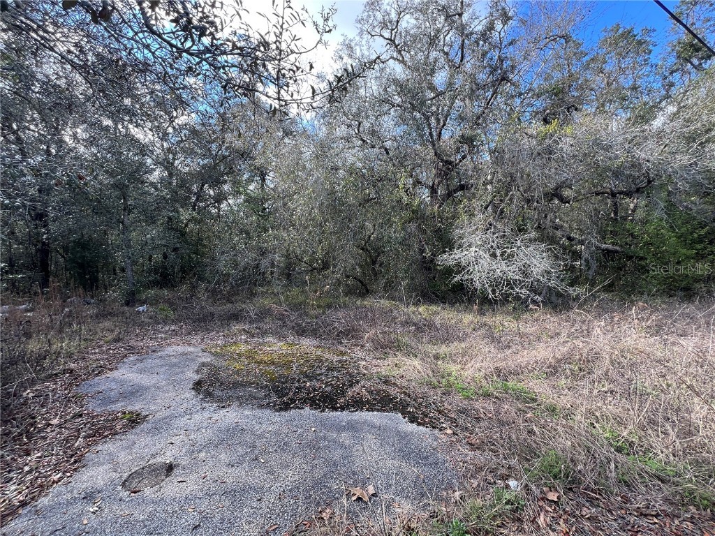 UNKNOWN Hays Road Hudson FL 34669 TB8354401 image3