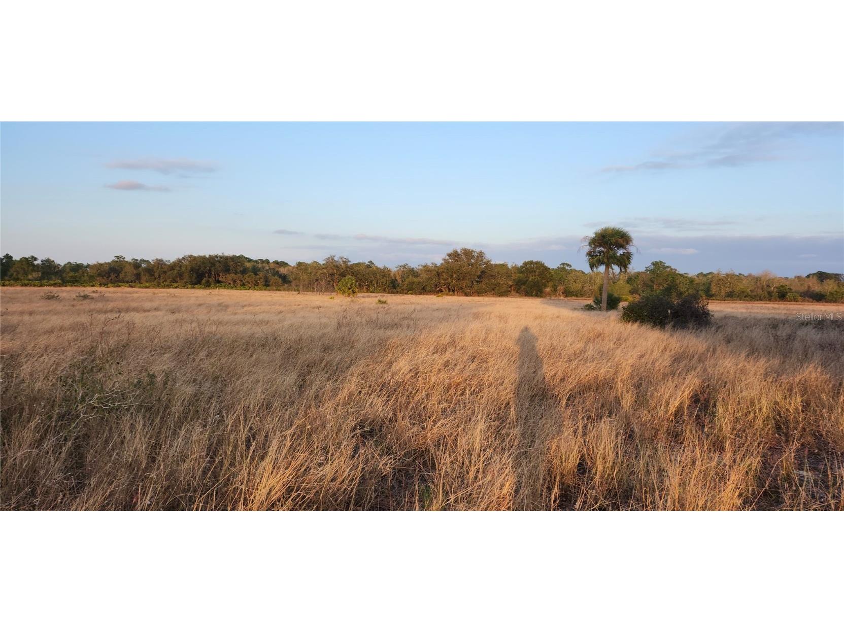 US Us-27 Frostproof FL 33843 W7873378 image5