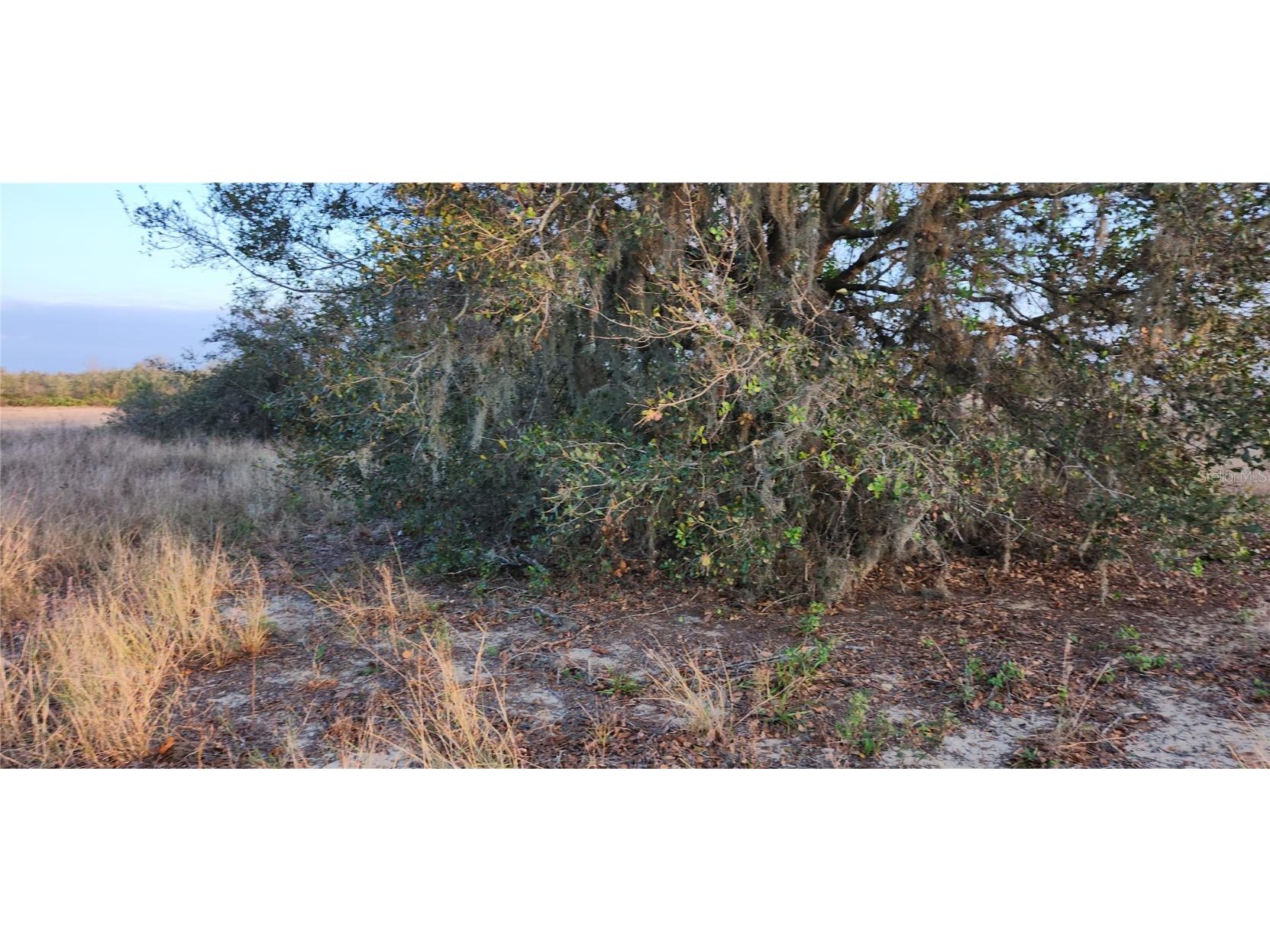 US Us-27 Frostproof FL 33843 W7873378 image6