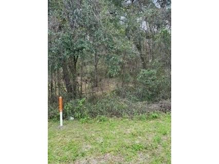 Unassigned State Road 24 Archer FL 32618 GC519504 image8