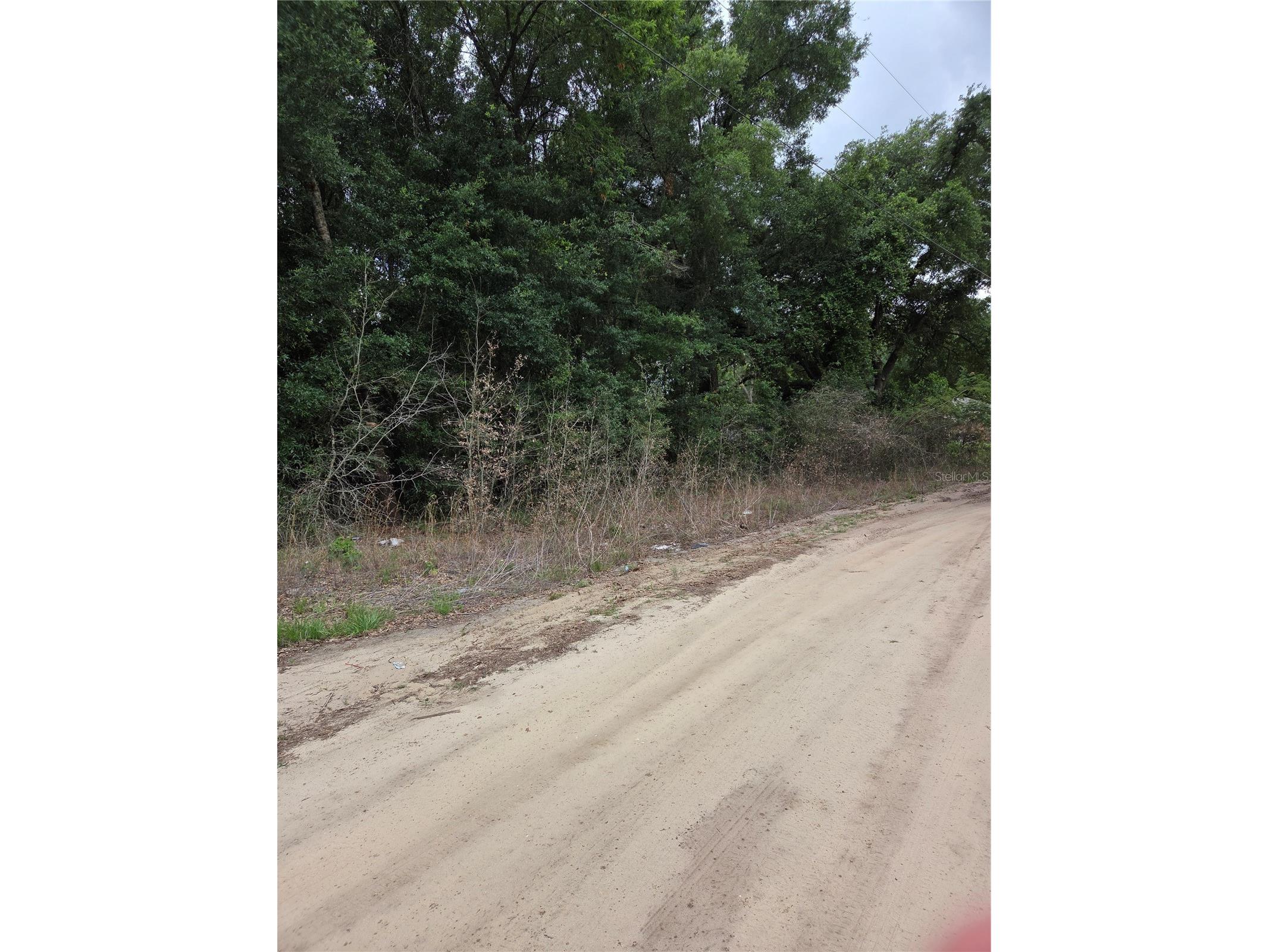 Unit 17 SE 142 Place Summerfield FL 34491 OM724973 image2