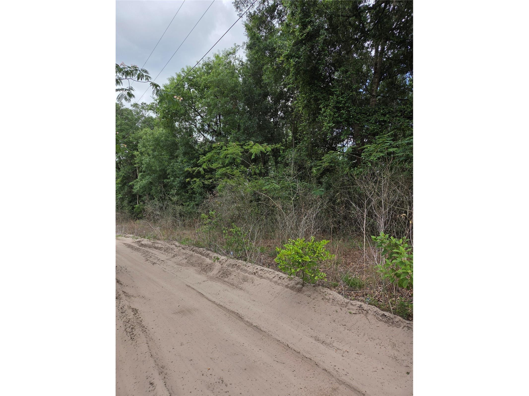 Unit 17 SE 142 Place Summerfield FL 34491 OM724973 image3