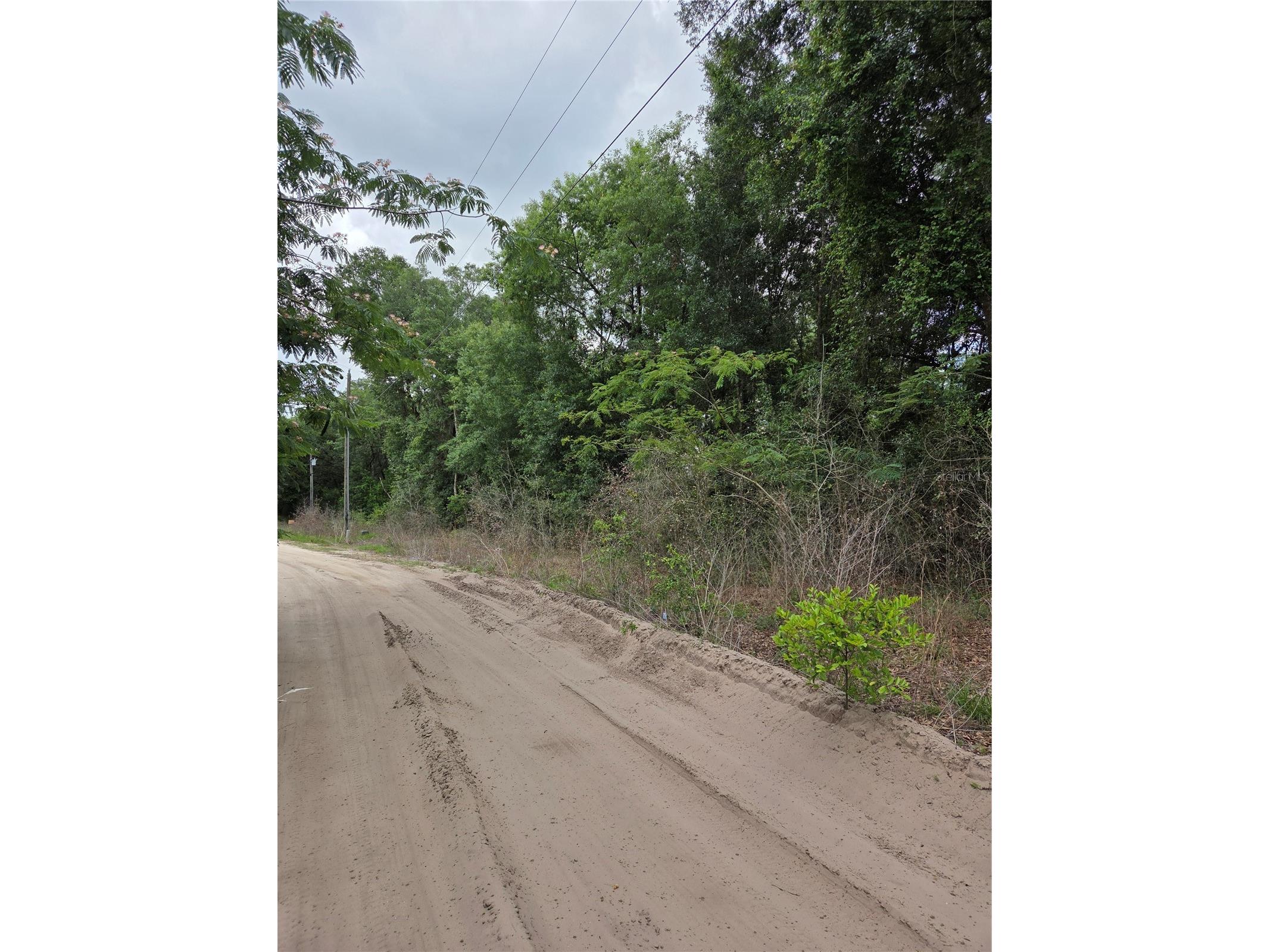 Unit 17 SE 142 Place Summerfield FL 34491 OM724973 image4