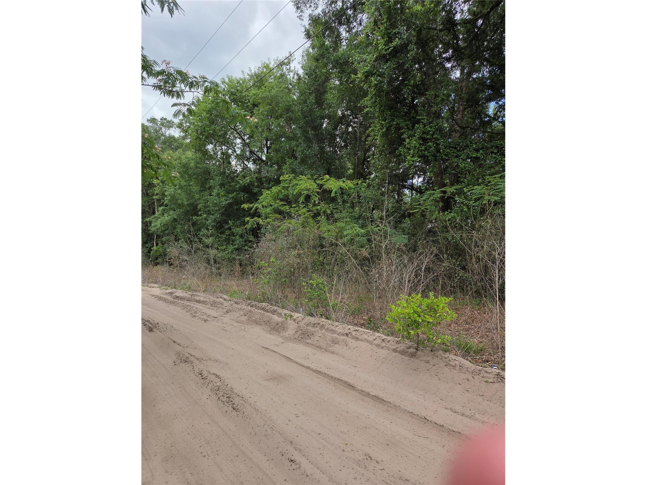 Unit 17 SE 142 Place Summerfield FL 34491 OM724973 image5
