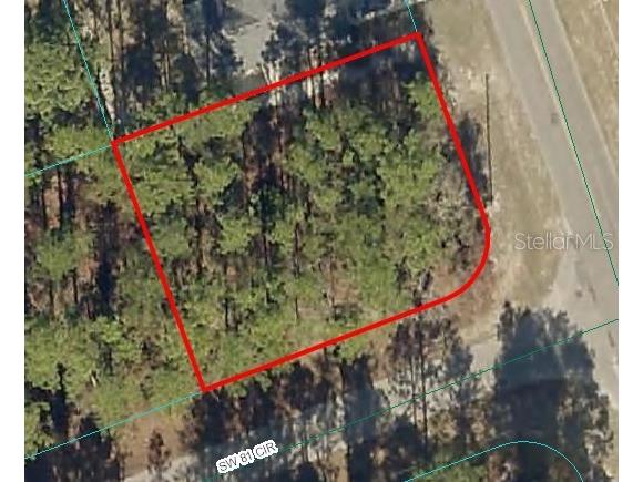 Unit 9 Marion Oaks Pass Ocala FL 34473 OM686917 image1