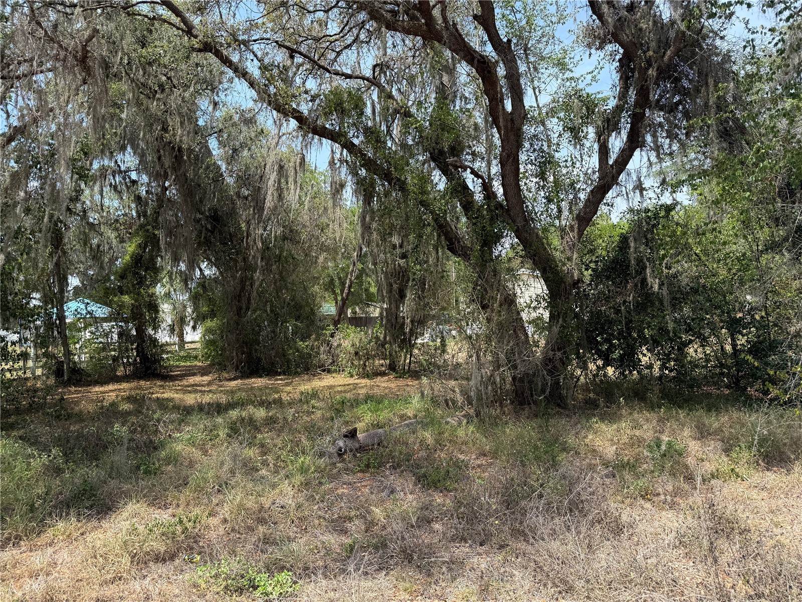 Vacant Land NW 8th Trail Lake Panasoffkee FL 33538 G5096199 image1