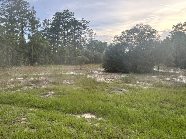 Vacant Land SW Mineola Lane Dunnellon FL 34431 OM726981 image1