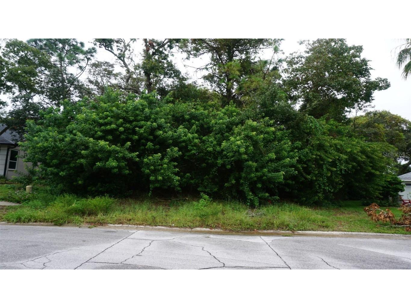 Vacant Land on Glenbrook Lane Palm Harbor FL 34683 TB8310641 image1